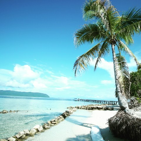 Pantai Arborek Pantai Arborek